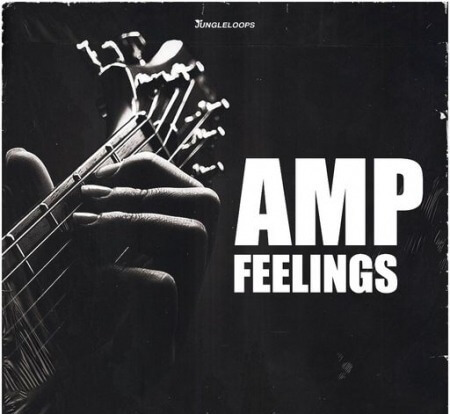 Jungle Loops Amp Feelings WAV